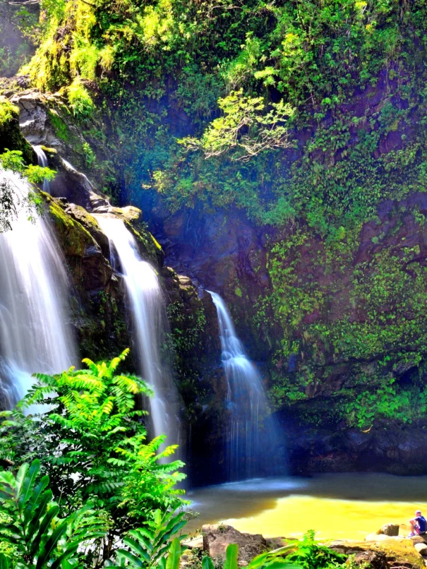 Waterfall swimming hole at Maui