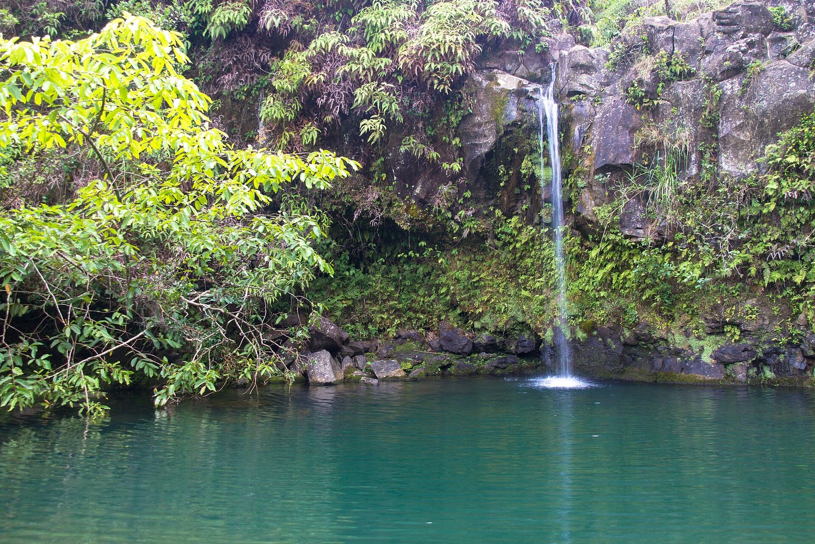 Small waterfall surrounded by tropical vegetation at Puaʻa Kaʻa